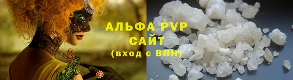 индика Белокуриха