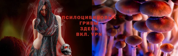 гидропоника Беломорск