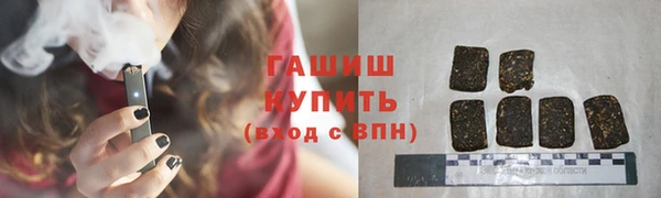 индика Белокуриха