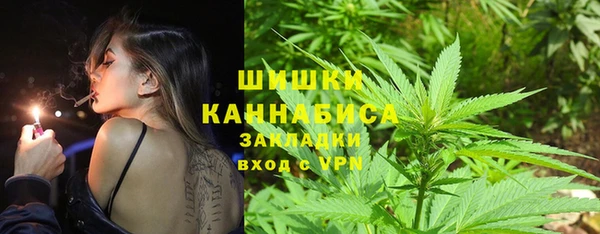 индика Белокуриха