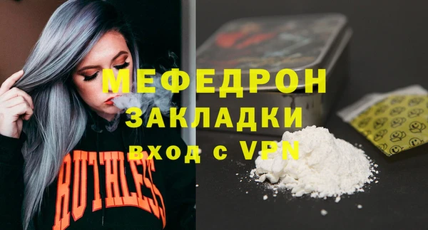 индика Белокуриха