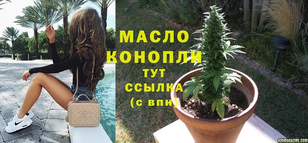 индика Белокуриха